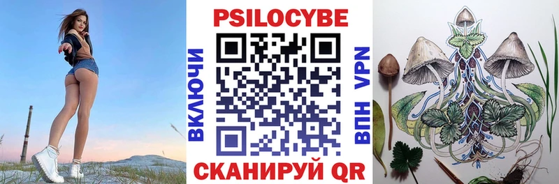 Купить  Кохма  Псилоцибиновые грибы Cubensis 